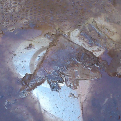 Bactéries dans un tambour de machine à laver